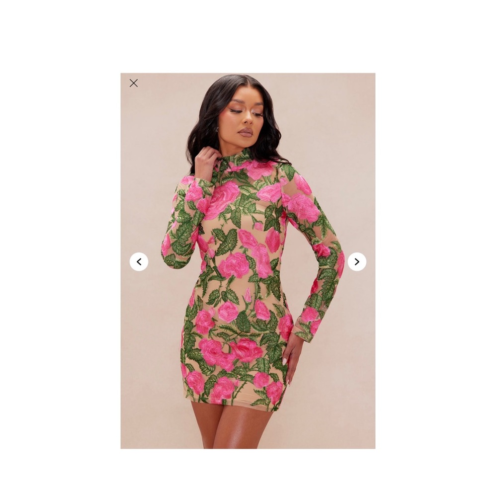 The garden scene embroidered mini dress